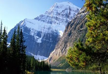 决战椰树之巅!椰子树上的“速度与激情”太精彩!央视新闻客户端.